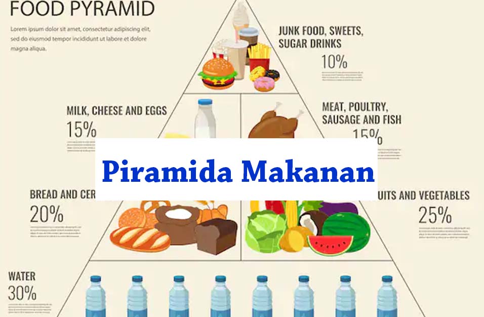 Piramida Makanan Adalah