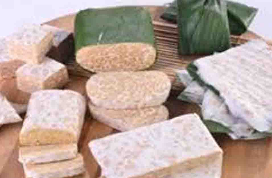Tauco merupakan salah satu produk bioteknologi konvensional yang memanfaatkan jamur