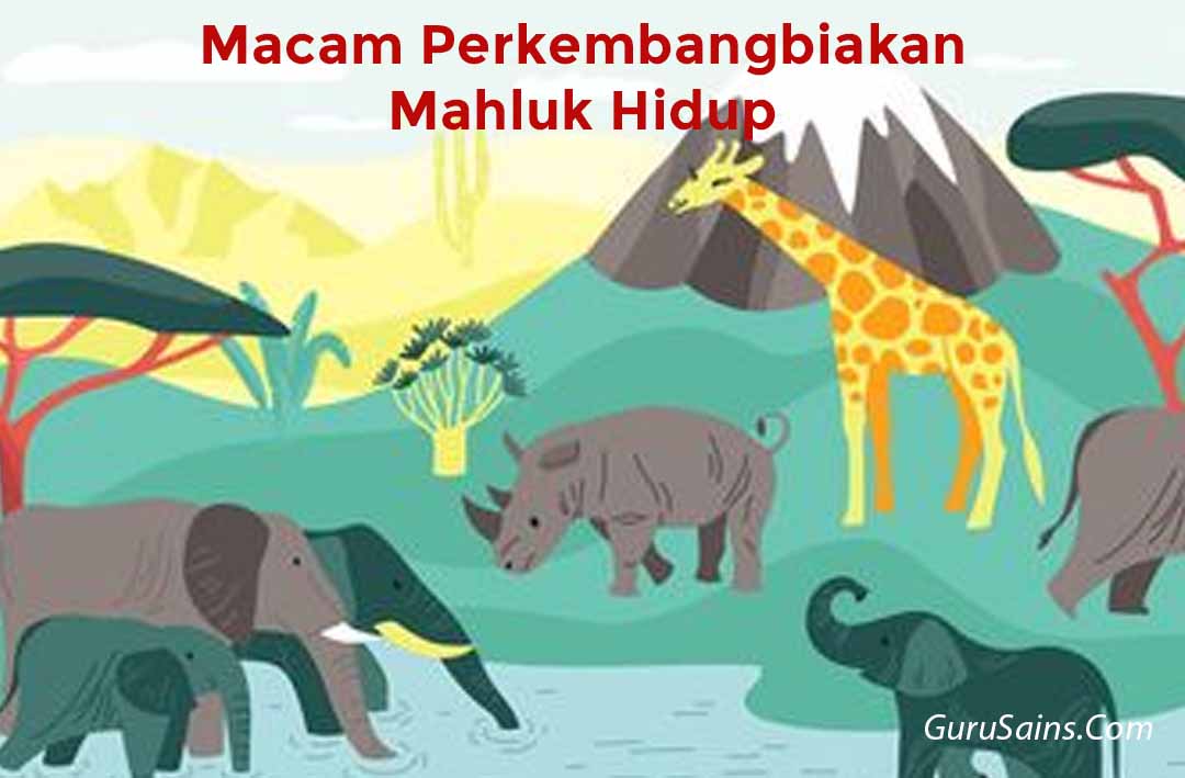 Macam Perkembangbiakan Mahluk Hidup