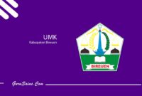 UMK Kabupaten Bireuen