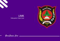 UMK Kabupaten Gayo Lues