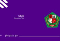 UMK Kabupaten Pidie