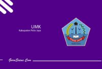 UMK Kabupaten Pidie Jaya