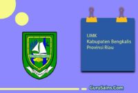 UMK Kabupaten Bengkalis Provinsi Riau