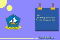 UMK Kabupaten Bintan Provinsi Kepulauan Riau