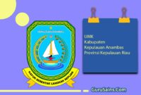 UMK Kabupaten Kepulauan Anambas Provinsi Kepulauan Riau