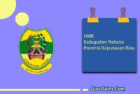 UMK Kabupaten Natuna Provinsi Kepulauan Riau