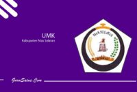 UMK Kabupaten Nias Selatan
