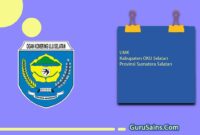 UMK Kabupaten Ogan Komering Ulu Selatan Provinsi Sumatera Selatan