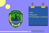 UMK Kabupaten Panukal Abab Lematang