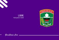 UMK Kabupaten Solok