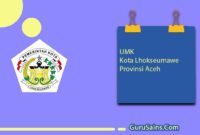 UMK Kota Lhokseumawe Provinsi Aceh