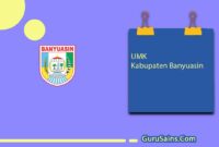 UMK Kabupaten Banyuasin