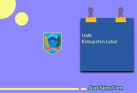 UMK Kabupaten Lahat