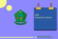 UMK Kabupaten Lebong