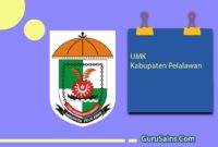UMK Kabupaten Pelalawan