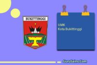 UMK Kota Bukittinggi