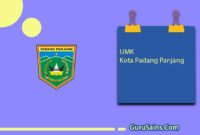 UMK Kota Padang Panjang