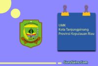 UMK Kota Tanjungpinang Provinsi Kepulauan Riau