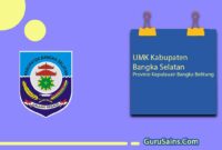 UMK Kabupaten Bangka Selatan Provinsi Kepulauan Bangka Belitung