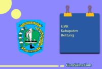 UMK Kabupaten Belitung Provinsi Kepulauan Bangka Belitung