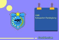 UMK Kabupaten Pandeglang Provinsi Banten