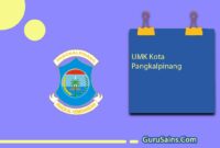 UMK Kota Pangkalpinang Provinsi Kepulauan Bangka Belitung